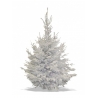A snow-covered evergreen tree with frosted branches and a full, bushy silhouette.