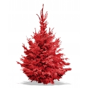 Rode gevlokte Nordmann kerstboom