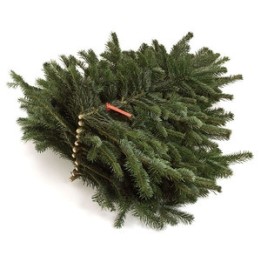 Groene dennenboompjes met een rode strik, perfect voor kerstdecoratie.