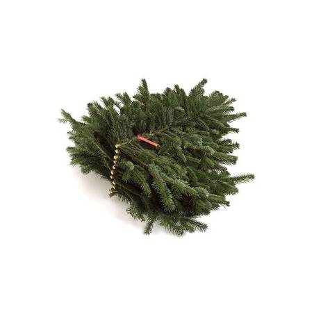 Natural Nordmann tree branches - 1 Natural Nordmann tree branches - 1