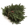 Natural Nordmann tree branches - 1 Natural Nordmann tree branches - 1