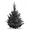 Sapin Nordmann Floqué Noir