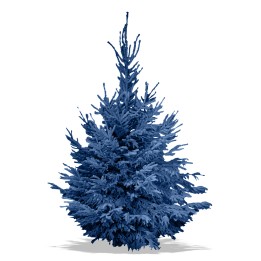 Een grote, volle dennenboom in een levendige blauwe kleur met spitse takken.