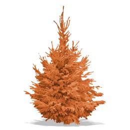 Un sapin aux teintes orange vif, aux formes touffues et ramifiées.