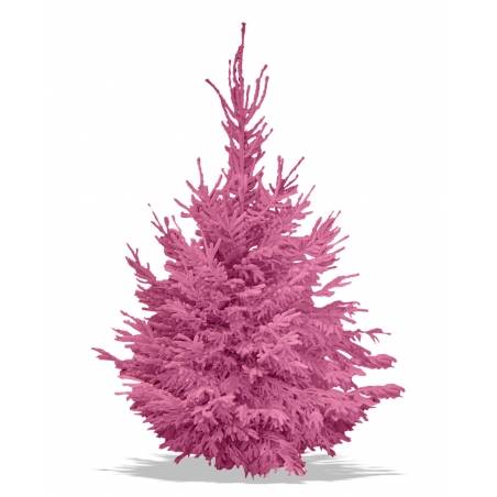 Coloured flocked Nordmann Coloured flocked Nordmann