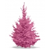 Coloured flocked Nordmann Coloured flocked Nordmann
