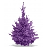 Coloured flocked Nordmann Coloured flocked Nordmann