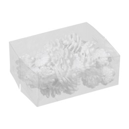Witte dennenappels in een transparante doos, eenvoudig en elegant gepresenteerd.