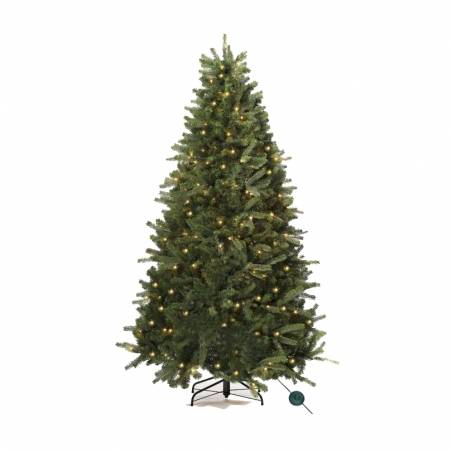Groene kerstboom met zachte takken, verlicht door warme, witte lampjes. Groene kerstboom met zachte takken, verlicht door warme, witte lampjes.