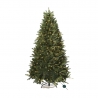 Groene kerstboom met zachte takken, verlicht door warme, witte lampjes. Groene kerstboom met zachte takken, verlicht door warme, witte lampjes.