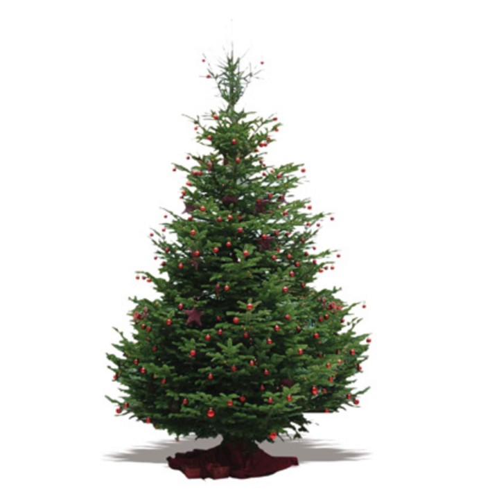 Groene kerstboom met kleurrijke ballen en een sierlijke top, op een rode ondergrond.