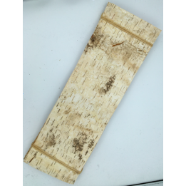 Écorce de bouleau lisse, aux teintes crème et brunes, marquée de motifs naturels.