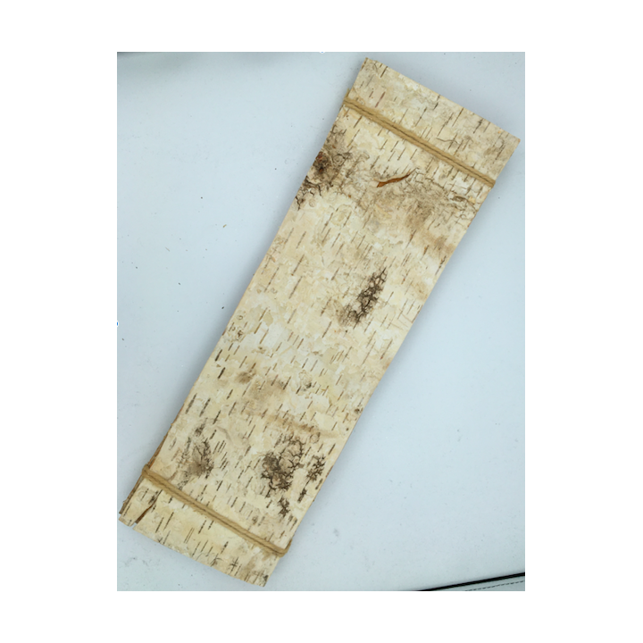 Écorce de bouleau lisse, aux teintes crème et brunes, marquée de motifs naturels.