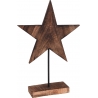 Wooden star on stand