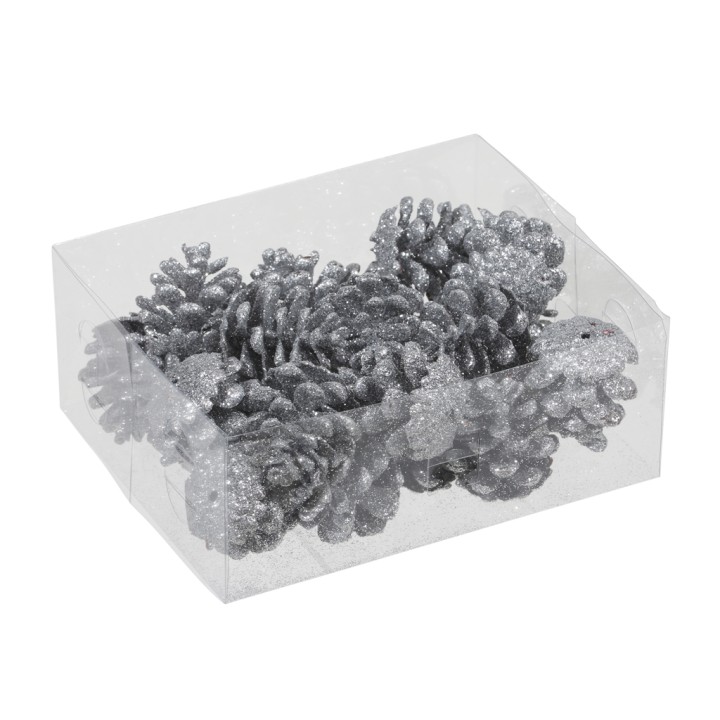A clear box contains shimmering silver pinecones, elegantly arranged with a touch of sparkle.