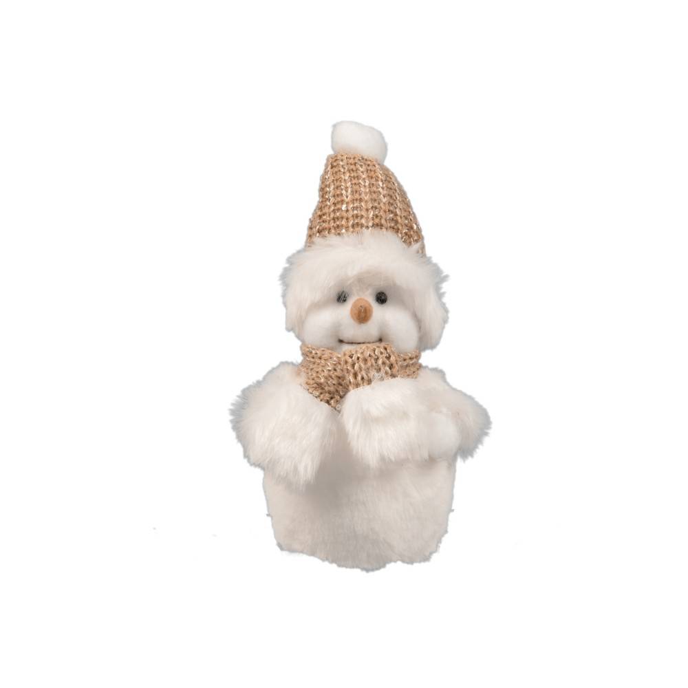 Bonhomme de neige avec bonnet