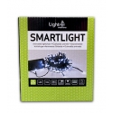 Guirlande 100 Led sur batterie blanc froid