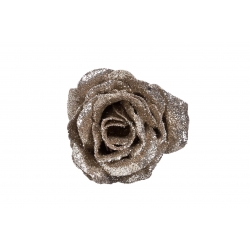 Glittery champagne rose on...