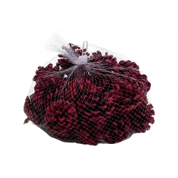 Red pine cones 300g