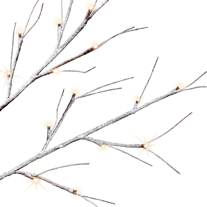 Delicate white branches adorned with soft glowing lights against a plain background.