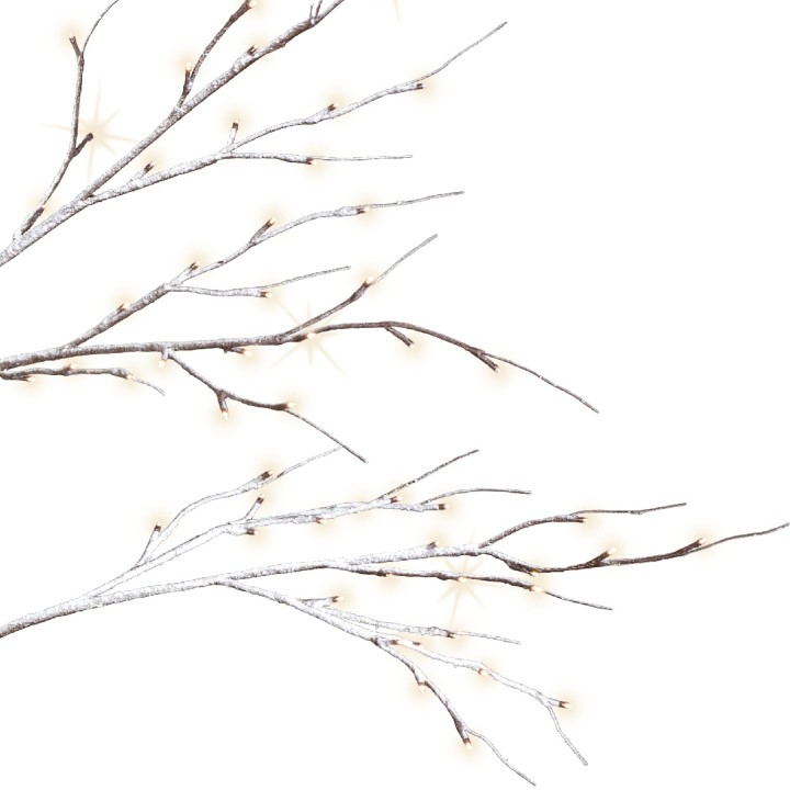 Delicate, frosted branches adorned with warm white lights against a bright background.