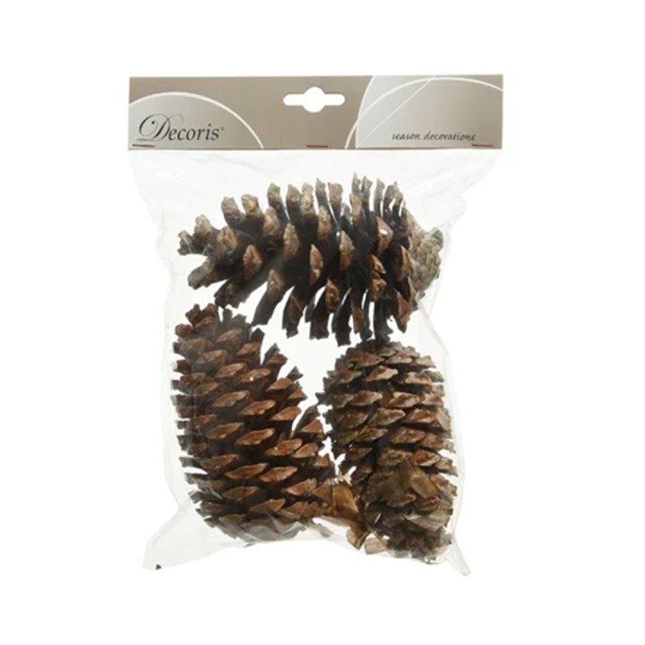 Three natural pinecones in a clear plastic bag, showcasing rich brown hues and textured surfaces.