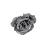 Collection argent