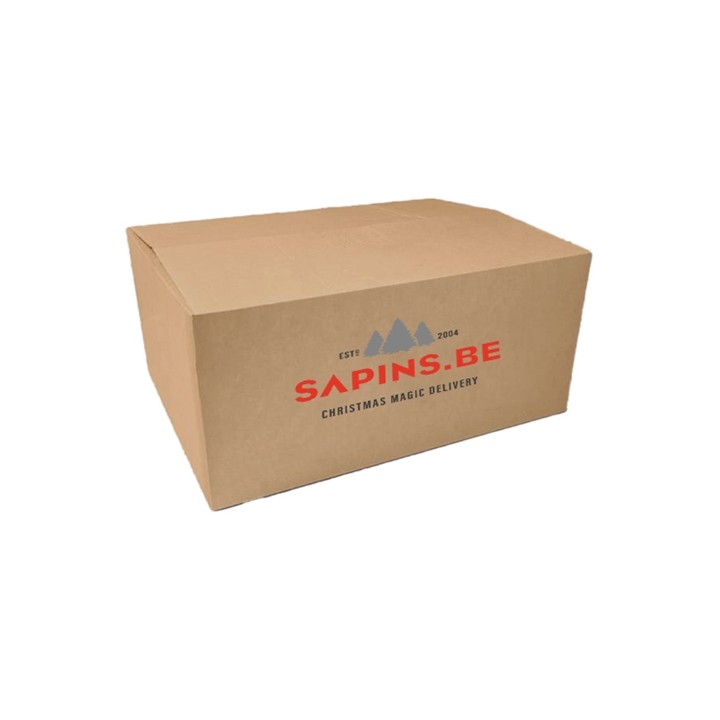 A simple brown cardboard box with "SAPINS.BE" printed in red.