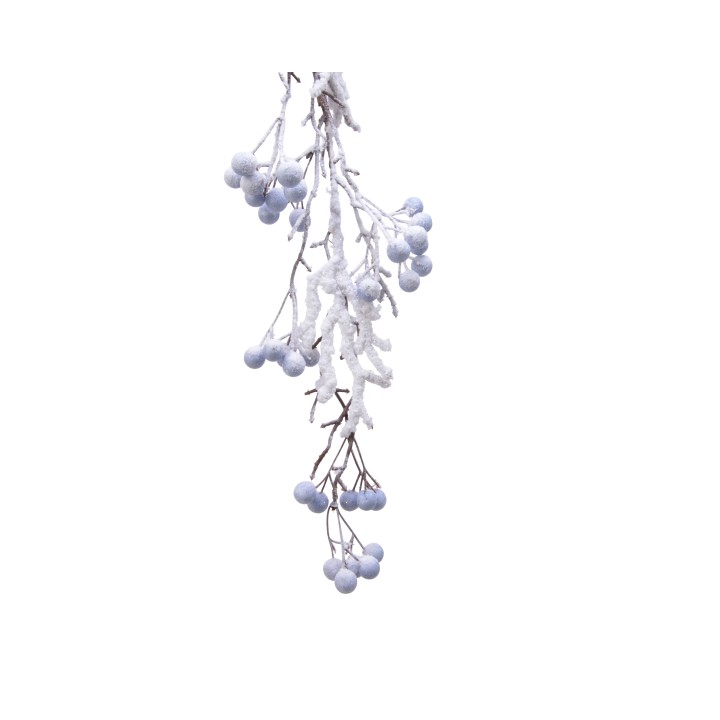 Delicate branches adorned with frosted blue berries against a bright, white background.