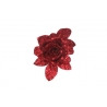 Collection rouge