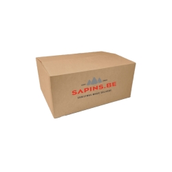 A simple brown cardboard box with "SAPINS.BE" printed in red and a mountain graphic.