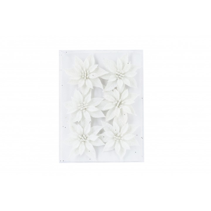 Zes witte bloemen op een heldere achtergrond, versierd met subtiele glitters.
