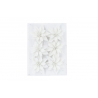A textured white background featuring six delicate, white floral arrangements. A textured white background featuring six delicate, white floral arrangements.