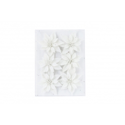 Champagne and White Collection