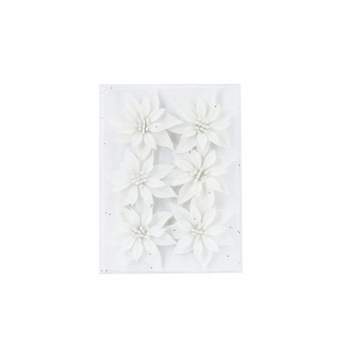 A white floral arrangement featuring six textured blossoms on a smooth background.
