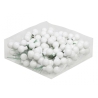 Champagne and White Collection