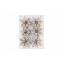 Collection Champagne et Blanc