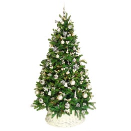 Groene kerstboom met zilveren ballen en versieringen, in een witte mand, sfeervol en feestelijk.