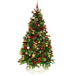 Een groene kerstboom versierd met rode en gouden ballen, sterren en glinsterende slingers.