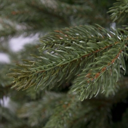 Artificial tree Spitsbergen