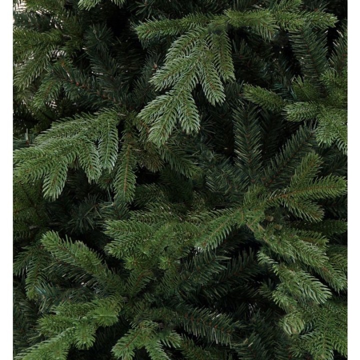 Dense green evergreen branches with needle-like leaves, creating a lush, textured appearance.