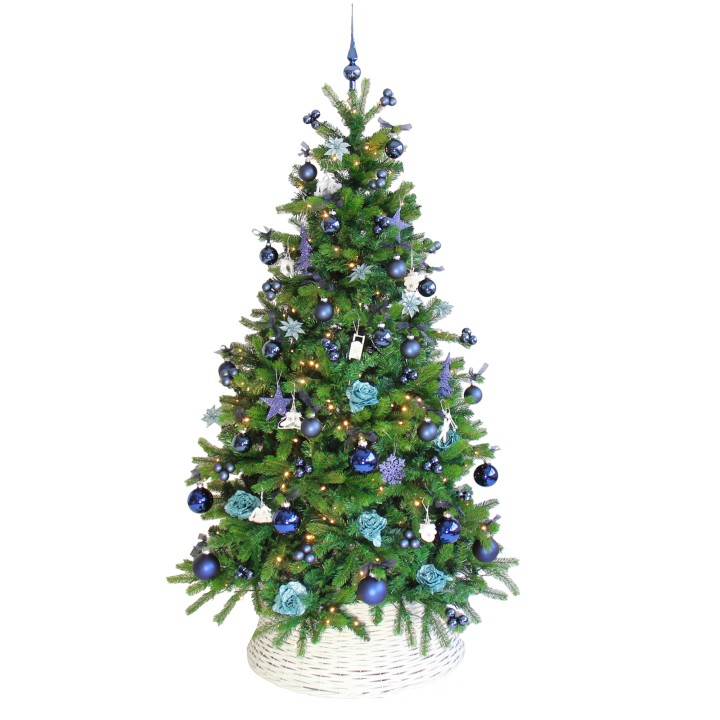 A lush green Christmas tree adorned with blue and teal ornaments, shimmering lights, and ribbons.