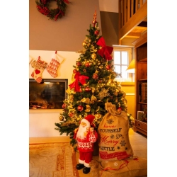 Een sfeervol versierde kerstboom met gouden en rode decoraties, naast een vrolijke kerstman en ca...
