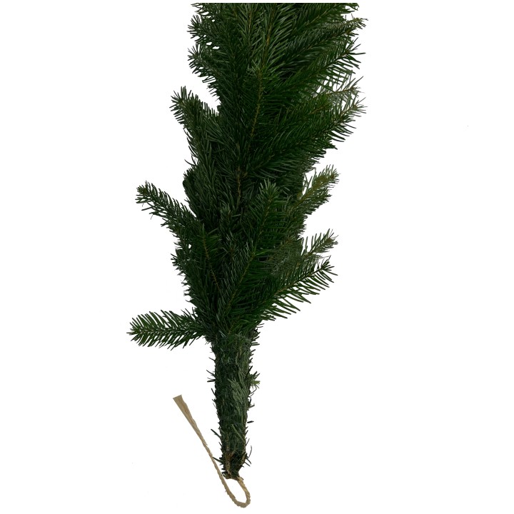 A lush, green pine branch with soft needles, tied at the base with twine.