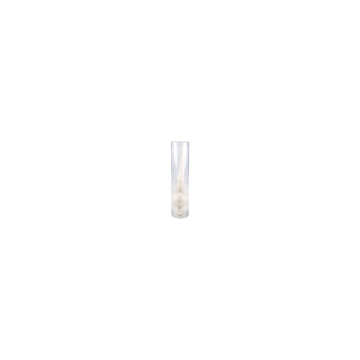 A clear cylindrical vase with a textured white interior resembling a shell.