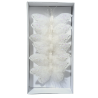 Zes delicate, witte vlinders met glinsterende details in een stijlvolle doos.
