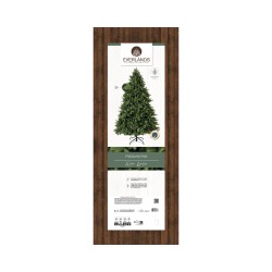 Freiburg tree