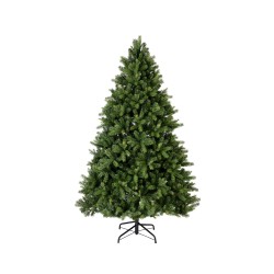 Freiburg tree