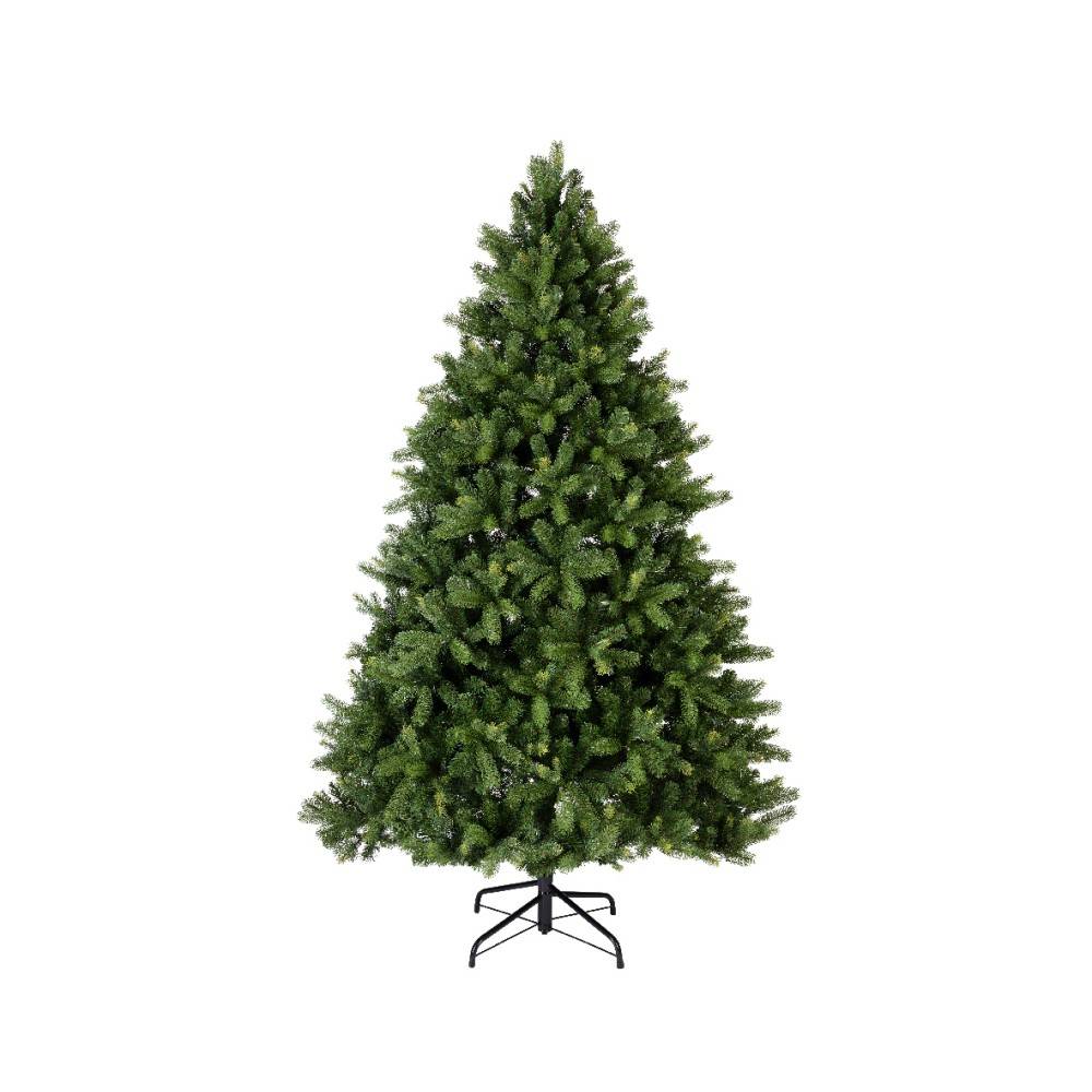 Freiburg tree