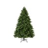 Freiburg tree